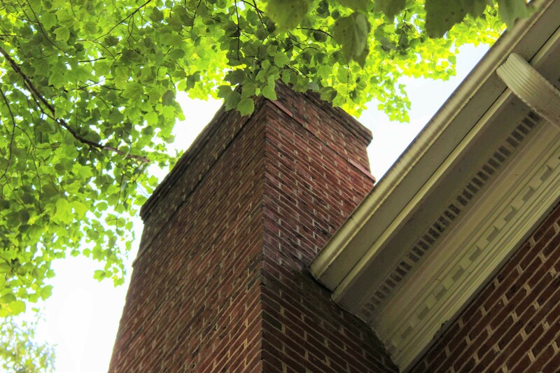 foliage on the roof