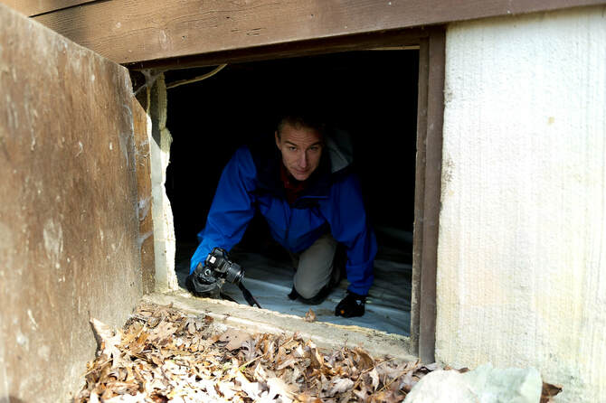 inside the crawl space