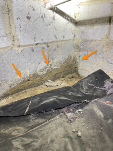 Crawl Space Water Intrusion Doherty Home Inspections