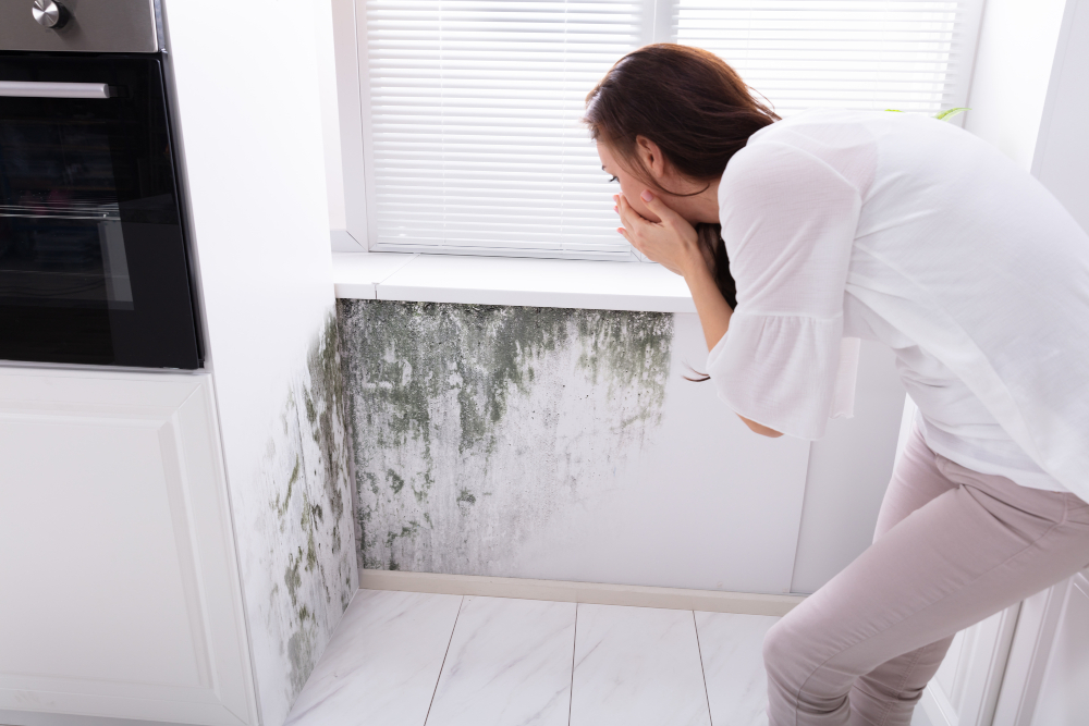 home-inspectors-raleigh-nc-mold-damage-geo