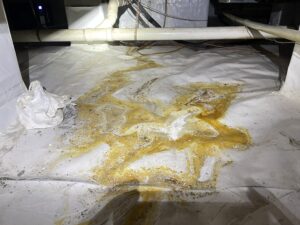 Plumbing Leaks in the Crawl Space